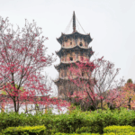 Silk_Roads_to_Modern_Dialogue__Civilizations_Thrive_Through_Exchange - Khabar Asia Silk_Roads_to_Modern_Dialogue__Civilizations_Thrive_Through_Exchange