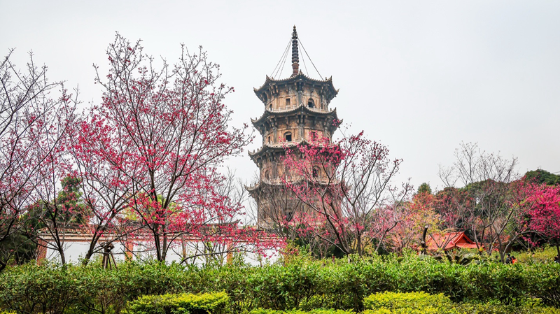 Silk_Roads_to_Modern_Dialogue__Civilizations_Thrive_Through_Exchange