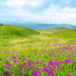 Sino_Swiss_Ecotourism_Partnership_Blossoms_After_75_Years