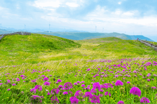 Sino-Swiss Ecotourism Partnership Blossoms After 75 Years Sino_Swiss_Ecotourism_Partnership_Blossoms_After_75_Years