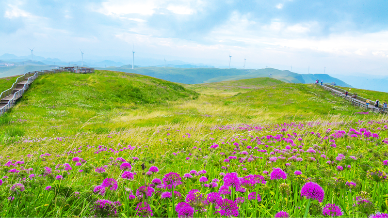 Sino_Swiss_Ecotourism_Partnership_Blossoms_After_75_Years - Khabar Asia Sino_Swiss_Ecotourism_Partnership_Blossoms_After_75_Years