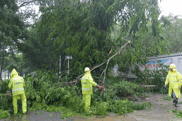 Southern China Braces for Typhoon Wipha as Landfall Nears Southern_China_Braces_for_Typhoon_Wipha_as_Landfall_Nears video poster