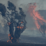 Southern_Europe_Battles_Raging_Wildfires_Amid_Heatwaves - Khabar Asia Southern_Europe_Battles_Raging_Wildfires_Amid_Heatwaves