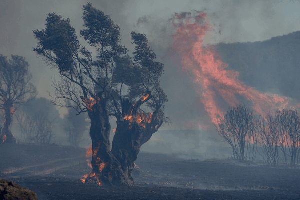 Southern Europe Battles Raging Wildfires Amid Heatwaves Southern_Europe_Battles_Raging_Wildfires_Amid_Heatwaves