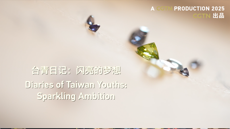Taiwan_Youth_Chase_Dreams_in_Greater_Bay_Area__Stories_of_Ambition_and_Cultural_Exchange video poster