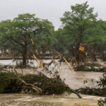 Texas_Floods__Rescue_Efforts_Intensify_Amid_Devastation_poster - Khabar Asia Texas_Floods__Rescue_Efforts_Intensify_Amid_Devastation video poster