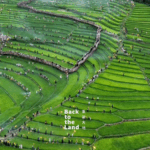 Torch_Festival_Ignites_Daliang_Mountains_with_Cultural_Splendor_poster - Khabar Asia Torch_Festival_Ignites_Daliang_Mountains_with_Cultural_Splendor video poster