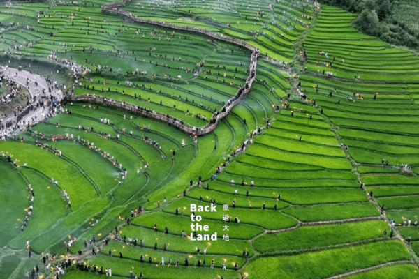 Torch Festival Ignites Daliang Mountains with Cultural Splendor Torch_Festival_Ignites_Daliang_Mountains_with_Cultural_Splendor video poster