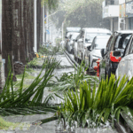 Typhoon_Wipha_Batters_Southern_China__Triggers_Mass_Evacuations_poster - Khabar Asia Typhoon_Wipha_Batters_Southern_China__Triggers_Mass_Evacuations video poster