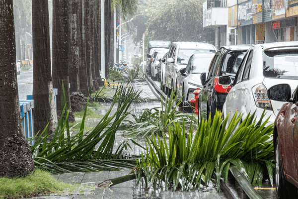 Typhoon_Wipha_Batters_Southern_China__Triggers_Mass_Evacuations video poster