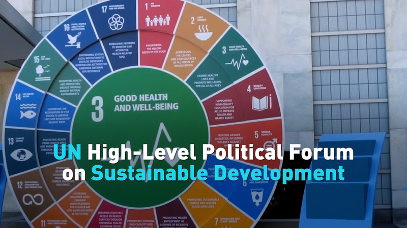 UN Forum Assesses Global Progress on 2030 Sustainability Goals UN_Forum_Assesses_Global_Progress_on_2030_Sustainability_Goals video poster