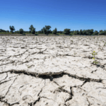 UN_Warns_of_Global_Drought_Crisis_as_Risks_Escalate - Khabar Asia UN_Warns_of_Global_Drought_Crisis_as_Risks_Escalate