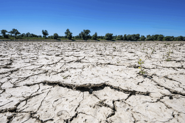 UN Warns of Global Drought Crisis as Risks Escalate UN_Warns_of_Global_Drought_Crisis_as_Risks_Escalate