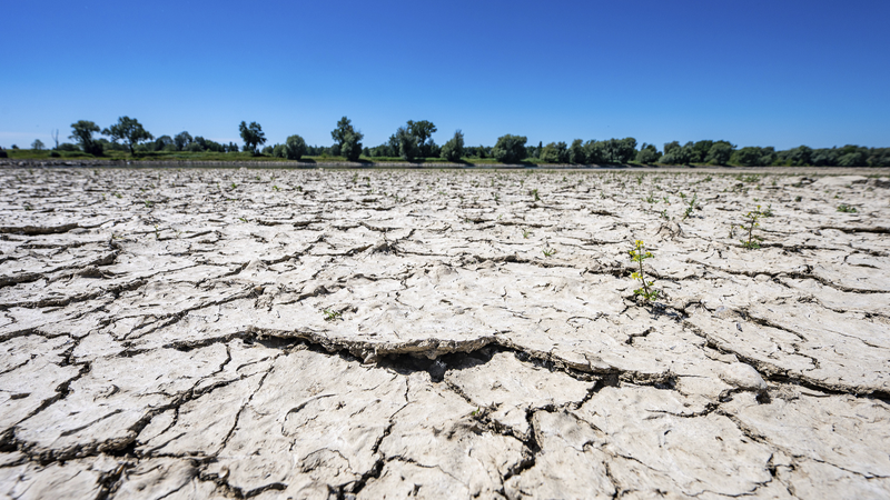 UN_Warns_of_Global_Drought_Crisis_as_Risks_Escalate - Khabar Asia UN_Warns_of_Global_Drought_Crisis_as_Risks_Escalate