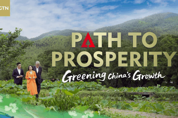 China’s Green Transformation: Balancing Growth and Sustainability China’s Green Transformation: Balancing Growth and Sustainability video poster