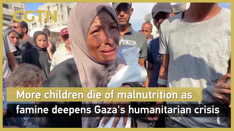 WHO Warns of ‘Man-Made Mass Starvation’ in Gaza as Deaths Climb WHO_Warns_of__Man_Made_Mass_Starvation__in_Gaza_as_Deaths_Climb video poster
