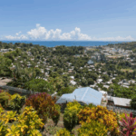 Xi_Jinping_Extends_Independence_Day_Greetings_to_Solomon_Islands
