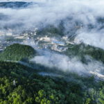 Xi_Jinping_s_Eco_Vision__New_Book_Guides_China_s_Green_Future