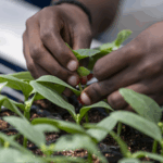 Youth_Lead_China_Africa_Green_Partnership_in_Zhejiang_Symposium