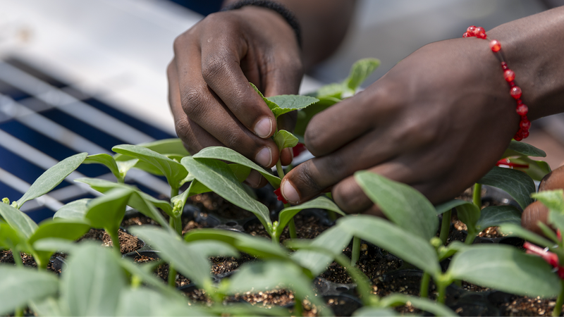 Youth_Lead_China_Africa_Green_Partnership_in_Zhejiang_Symposium