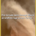 Z3YPN3X8D895VFN20MGG - Khabar Asia Fire Tornado Strikes Bilecik as Wildfires Ravage Türkiye video poster