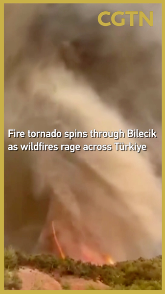 Z3YPN3X8D895VFN20MGG - Khabar Asia Fire Tornado Strikes Bilecik as Wildfires Ravage Türkiye video poster