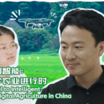 2B9223ECQ180X3DKM3ZS - Khabar Asia China’s Farmlands Take Flight: Drones Revolutionize Agriculture video poster