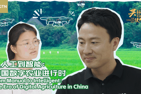 China’s Farmlands Take Flight: Drones Revolutionize Agriculture China’s Farmlands Take Flight: Drones Revolutionize Agriculture video poster