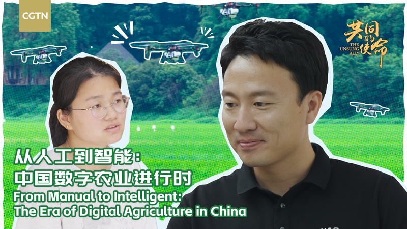 China’s Farmlands Take Flight: Drones Revolutionize Agriculture video poster