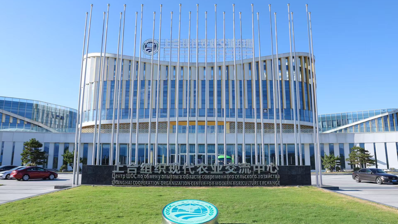 Yangling Emerges as SCO’s Agricultural Innovation Hub Yangling Emerges as SCO’s Agricultural Innovation Hub