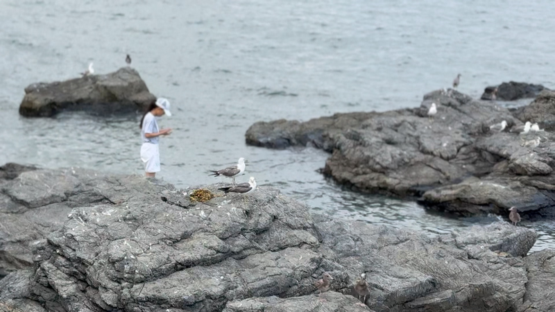 China’s Marine Economy Surges 5.8% in H1 2025 Amid Global Challenges