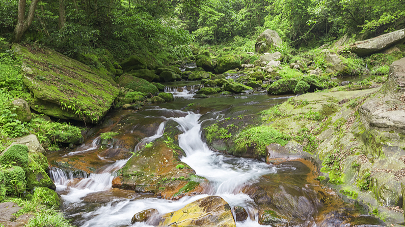Explore Qianjiangyuan: China’s Hidden Natural Gem Explore Qianjiangyuan: China’s Hidden Natural Gem video poster