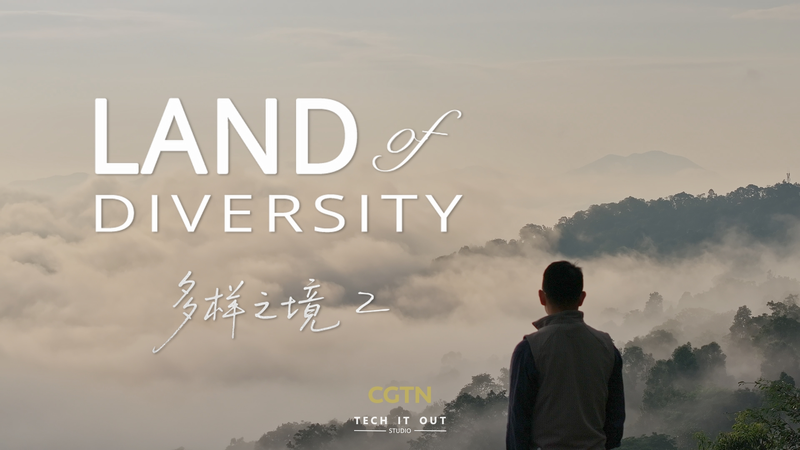 ‘Land of Diversity II’ Explores Humanity’s Bond with Nature ‘Land of Diversity II’ Explores Humanity’s Bond with Nature video poster