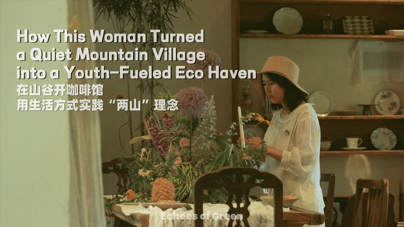 Anji_s_Eco_Revolution__How_A_Xi_Transformed_a_Village_into_a_Youth_Driven_Green_Oasis video poster