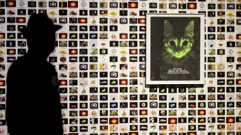 Art_Meets_Nature__Tsinghua_Exhibition_Explores_Human_Nature_Bonds