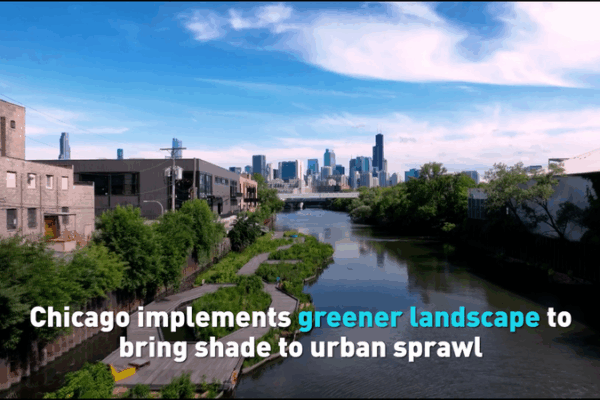 Asian Cities Embrace Green Urban Renewal Amid Climate Challenges Asian_Cities_Embrace_Green_Urban_Renewal_Amid_Climate_Challenges video poster