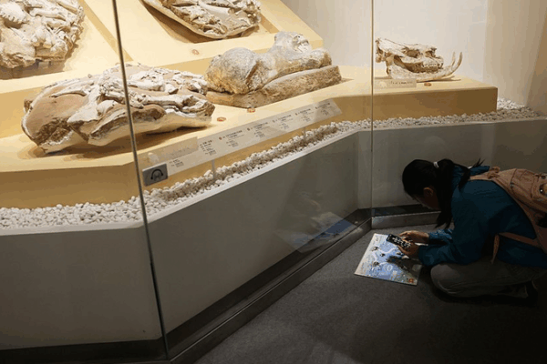Beijing Unveils High-Tech Vision for Cultural Heritage by 2035 Beijing_Unveils_High_Tech_Vision_for_Cultural_Heritage_by_2035
