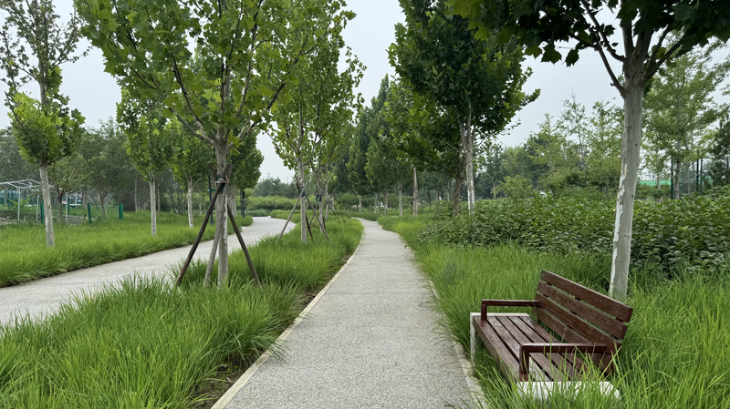 Beijing’s Central Green Forest Park: Where Industry Meets Ecology Beijing_s_Central_Green_Forest_Park__Where_Industry_Meets_Ecology video poster