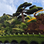 China_Commemorates_80th_Anniversary_of_Anti_Fascist_Victory__Stresses_Military_Modernization