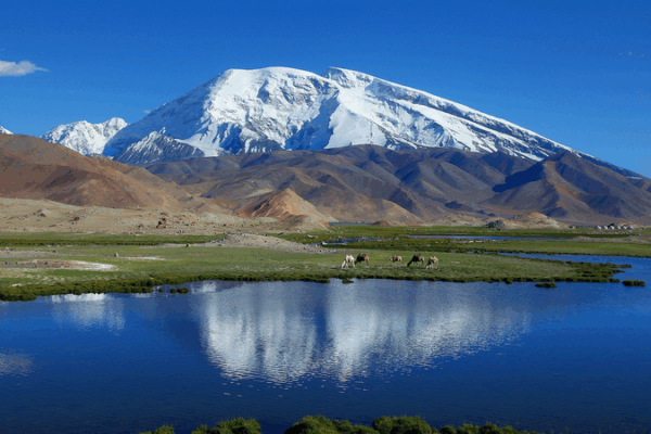 China-Tajik Science Team Safeguards Rare Plateau Wildlife China_Tajik_Science_Team_Safeguards_Rare_Plateau_Wildlife