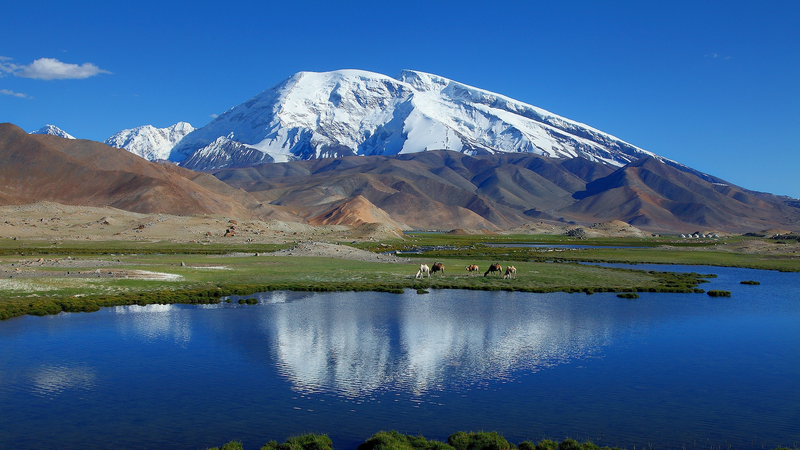 China_Tajik_Science_Team_Safeguards_Rare_Plateau_Wildlife