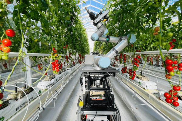 China Unveils World’s First AI-Powered Plant-Breeding Robot China_Unveils_World_s_First_AI_Powered_Plant_Breeding_Robot