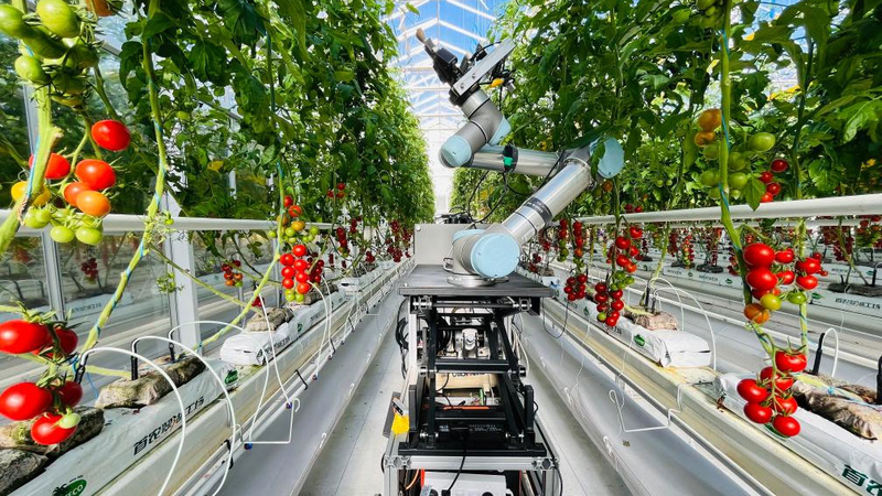 China_Unveils_World_s_First_AI_Powered_Plant_Breeding_Robot