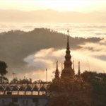 China_s_Ancient_Tea_Forests_Gain_UNESCO_World_Heritage_Status - Khabar Asia China_s_Ancient_Tea_Forests_Gain_UNESCO_World_Heritage_Status