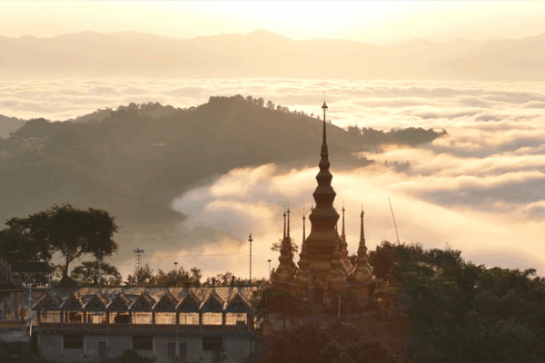 China’s Ancient Tea Forests Gain UNESCO World Heritage Status China_s_Ancient_Tea_Forests_Gain_UNESCO_World_Heritage_Status