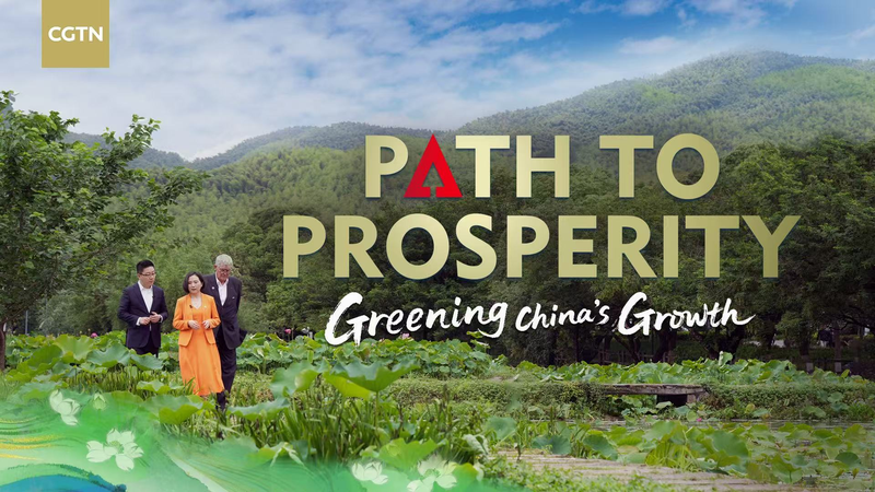 China’s Green Transformation: Balancing Growth and Sustainability China_s_Green_Transformation__Balancing_Growth_and_Sustainability video poster