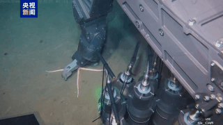 China’s Haiqin ROV Completes 6,000-Meter Deep-Sea Trials China_s_Haiqin_ROV_Completes_6_000_Meter_Deep_Sea_Trials
