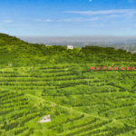 China_s_Premier_Li_Calls_for_New_Era_of_Ecological_Civilization