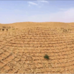 China_s_Straw_Checkerboards_Pioneer_Global_Desert_Control_Efforts - Khabar Asia China_s_Straw_Checkerboards_Pioneer_Global_Desert_Control_Efforts