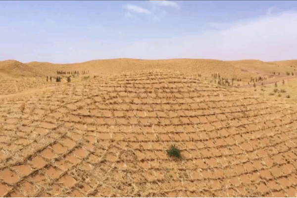 China_s_Straw_Checkerboards_Pioneer_Global_Desert_Control_Efforts